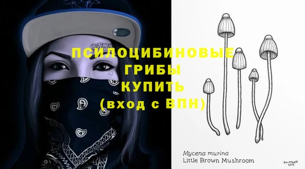 дурь Баксан