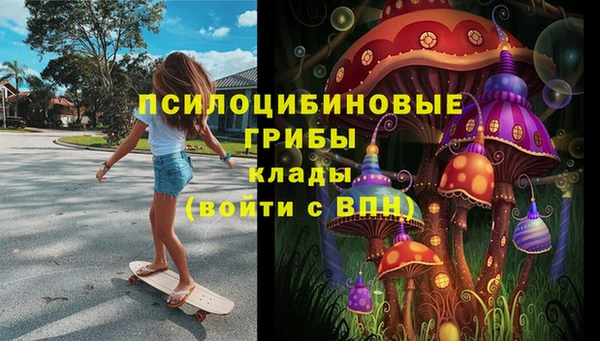 спайс Беломорск