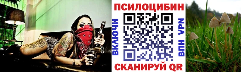 Галлюциногенные грибы ЛСД Нестеров