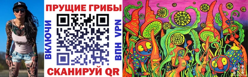 Псилоцибиновые грибы Psilocybe  наркота  Нестеров 